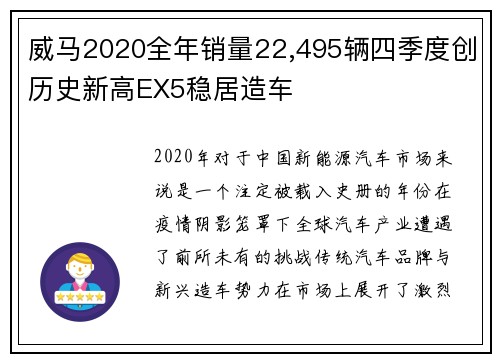 威马2020全年销量22,495辆四季度创历史新高EX5稳居造车