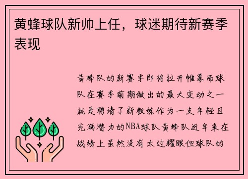 黄蜂球队新帅上任，球迷期待新赛季表现